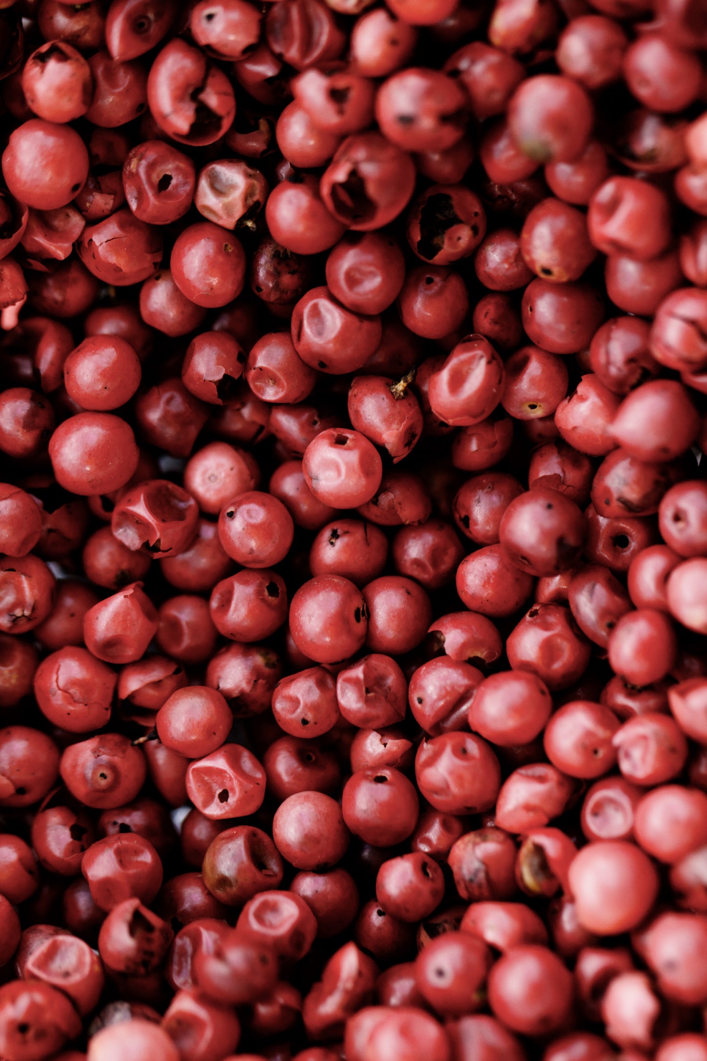 Woody & Romantic Duo Gift Set